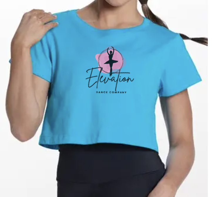 Short Sleeve Crop Top