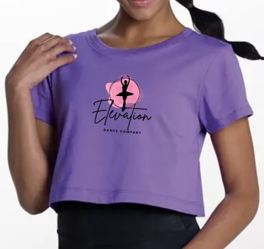 Short Sleeve Crop Top